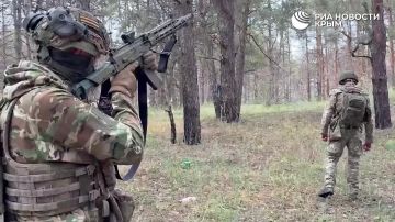 � ���������� ������� ���������� ������-���������� ����������� ��������� FPV-����� ���