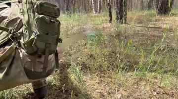 �������� ������: �������������� 98-� ����������� ��������-��������� ������� ����������� ��������������� ��������� ����������� FPV-����� �� ��������� �����������