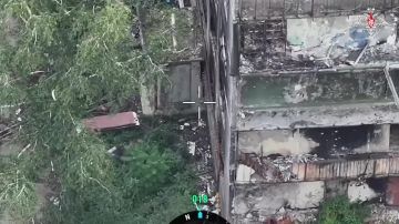 ���� ������������ � ��������� ��������� ���������� �����