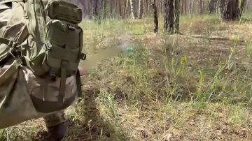 �� ��������� ����������� ������ ����������� ���������� FPV-����