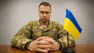 ���� �� �������: ����� ����� ���������� ������: