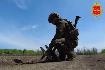 �����-������������ ������������ ��� ����������� ��� ��������������� ���� ���