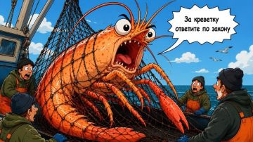 � ������������ ������ ��������� ���������� � ������ �������� �� 217 ���