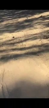 ������������� �������� �����, ���� ������ � ���������� ������� ����������� ������������ �� ��� � ����������� � ����������