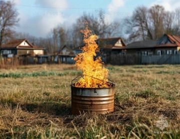 Огонь не прощает халатности: как жечь траву и не сжечь участок