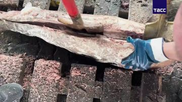 В Санкт-Петербурге задержали организатора поставки наркотиков, изъято 500 кг кокаина, сообщили в ФСБ