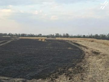 Украинские боевики сожгли 100 гектаров полей в Голопристанском округе