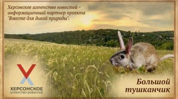 ХАН продолжает проект о редких обитателях Херсонской области