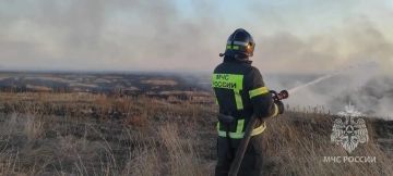 За дежурные сутки спасатели МЧС Херсонской области трижды привлекались к ликвидации ландшафтных пожаров