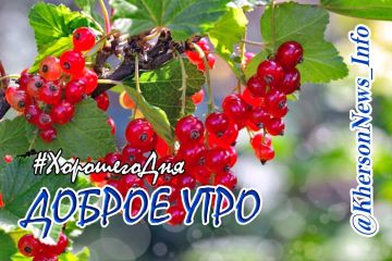 Доброе утро, друзья, всех с началом Июля!