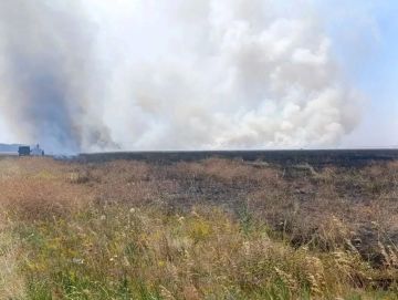 В заповеднике "Аскания-Нова" тушат пять пожаров от атак дронов ВСУ