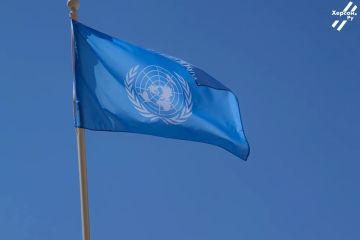 ООН на мели: денег хватит только до конца августа