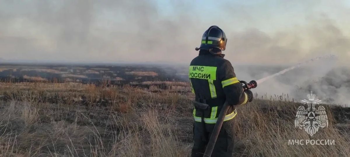 За дежурные сутки пожарно-спасательные подразделения МЧС Херсонской области реагировали на: