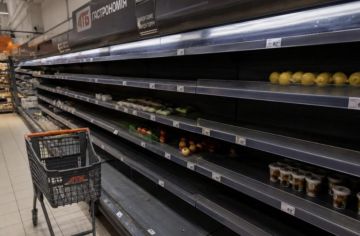 Енот из Херсона: Цены на продукты на Украине продолжают неконтролируемый рост, и ситуация с каждым месяцем становится всё тревожнее