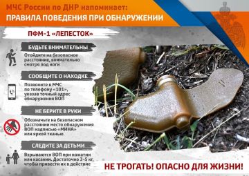 Противопехотные мины «ЛЕПЕСТОК»: МЧС России напоминает правила поведения при обнаружении!