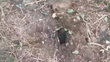 ����� �� ������������� �������������� � ���
