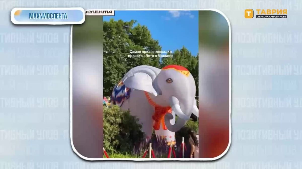 "Позитивный улов" — дайджест удивительных новостей со всего мира