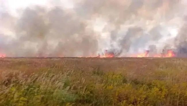 В заповеднике "Аскания-Нова" в Каховском районе Херсонской области из-за атак ВСУ выгорело около 2,1 тыс