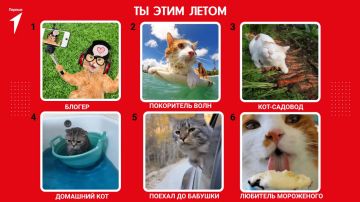 Первые! А какой вы кот этим летом?