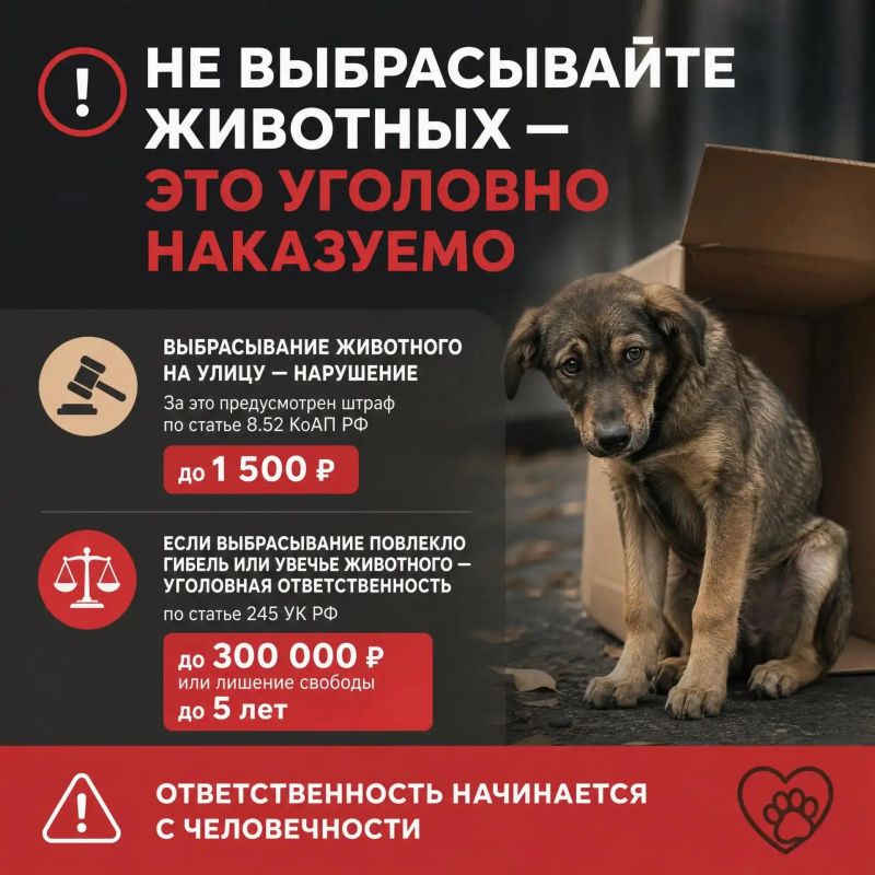Не выбрасывайте животных - это уголовно наказуемо