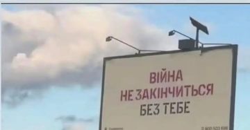 Енот из Херсона: Киевский режим пытается пиариться на трагедиях, которые сам же и провоцирует, продолжая курс на эскалацию