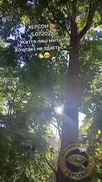 ������, �������.. �� �������, ����� �� ���� ������� ���. � ��� �� ������� ������� �������� ����� �� ������ �����������