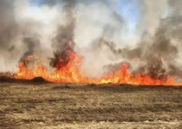 Пожар в заповеднике «Аскания-Нова» потушили после атаки ВСУ