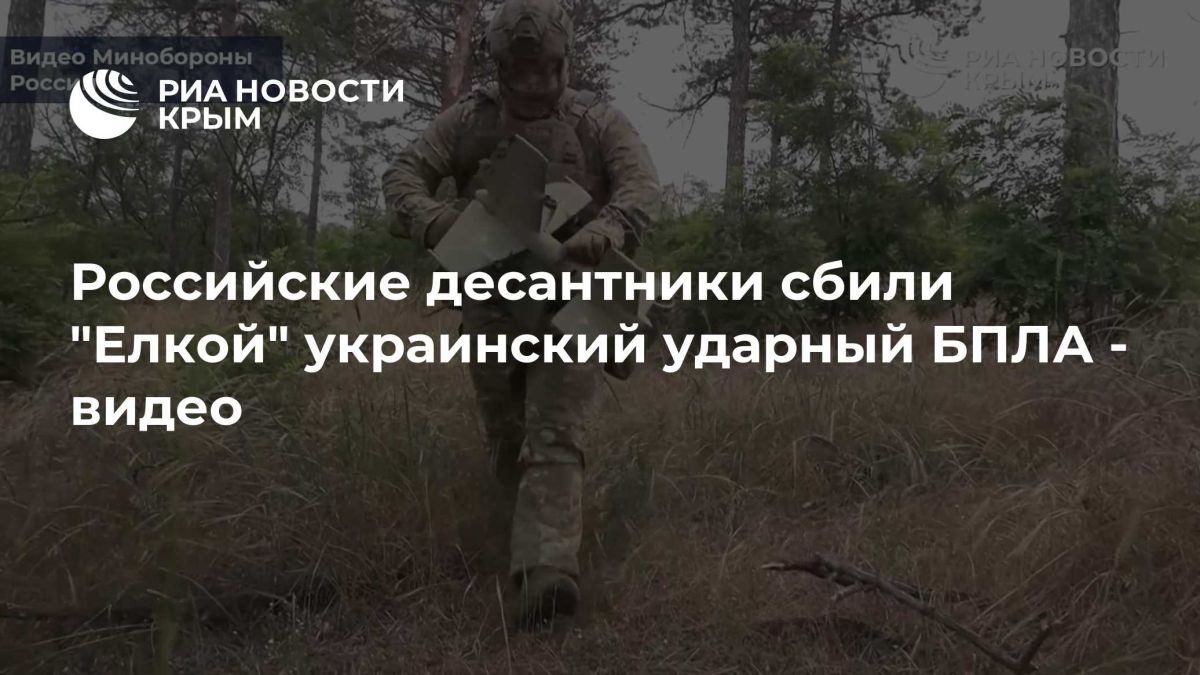 Российские десантники сбили "Елкой" украинский ударный БПЛА - видео