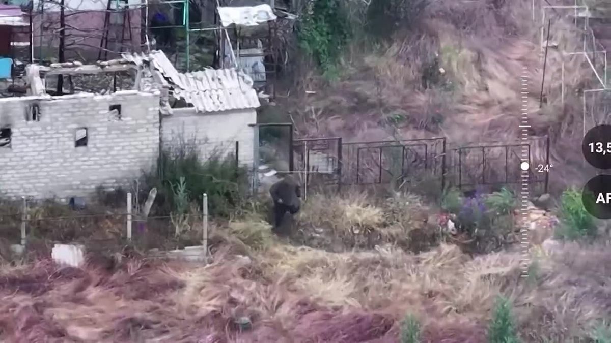 Разведка с воздуха и точный огонь: дроноводы 49-й армии не дают противнику закрепиться на правом берегу