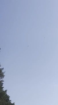 Кадры поражения хохлятского дрона самолетного типа нашим FPV перехватчиком «Ёлка»