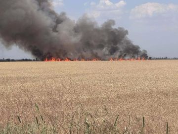 50 га поля пшеницы сгорело в Херсонской области из-за атаки ВСУ