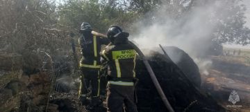 Хозяйственные постройки загорелись в Новониколаевке Новотроицкого округа