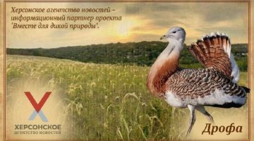��� ���������� ������ � ������ ���������� ���������� �������