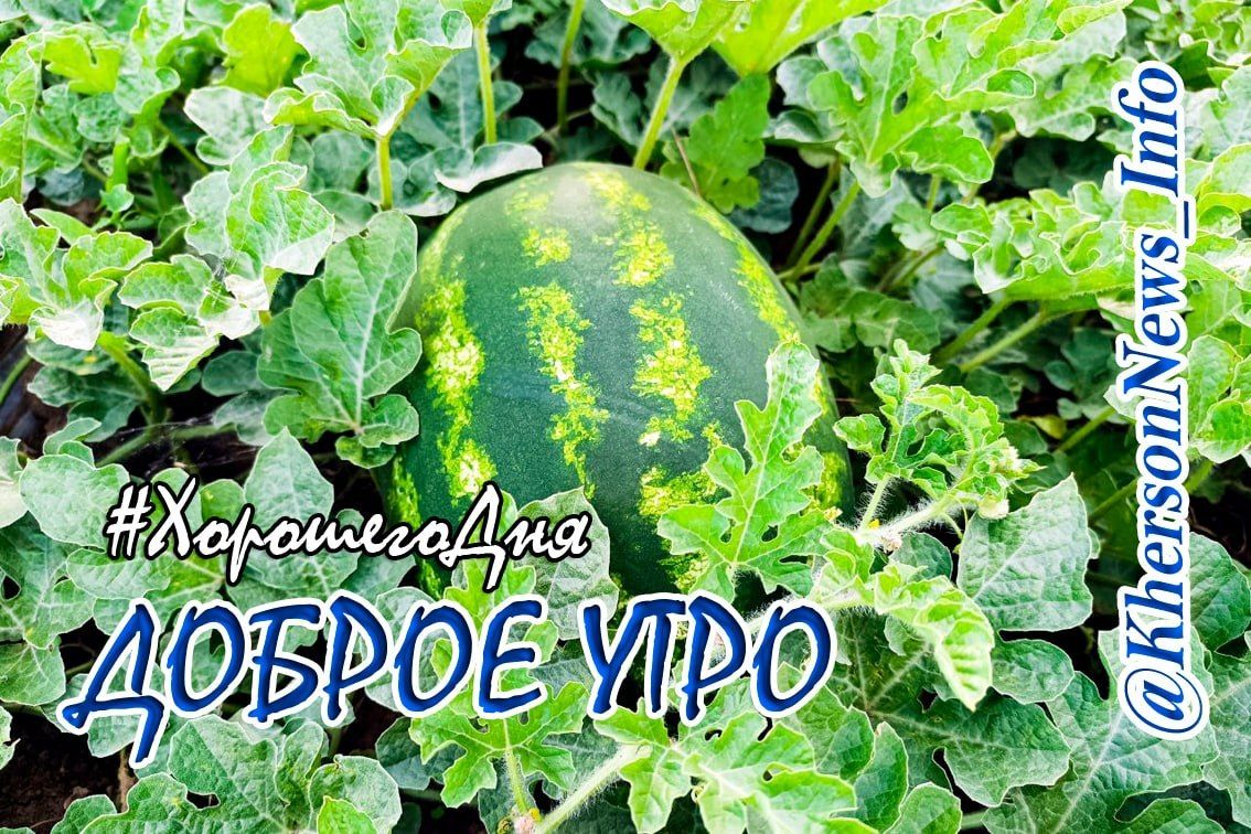 Доброе утро, друзья!. Всех с началом нового дня