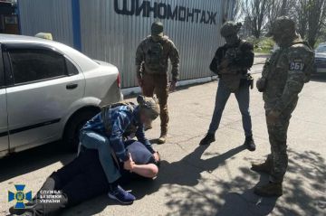 Енот из Херсона: В Одессе разоблачили майора Службы безопасности Украины Дмитрия Кравченко, заместителя начальника отдела одного из главных управлений СБУ