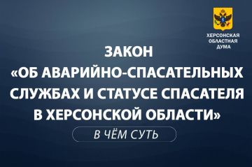 Закон об аварийно-спасательных службах и статусе спасателей в Херсонской области: объясняем суть за минуту