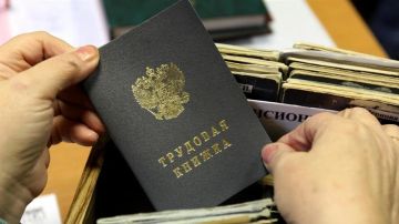Госдума приняла закон о трудовых стажировках для студентов и выпускников