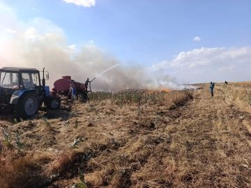Фонд «Компас» открывает сбор в поддержку заповедника «Аскания-Нова»