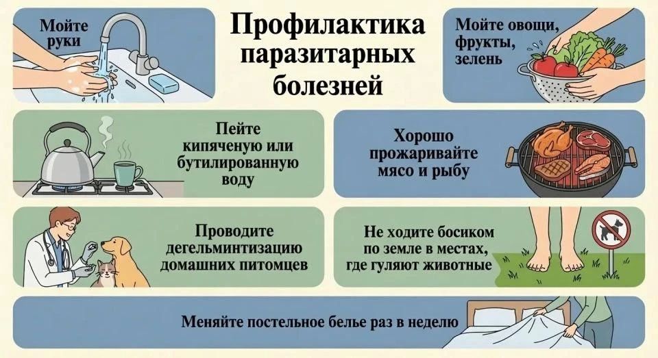 Профилактика паразитарных заболеваний