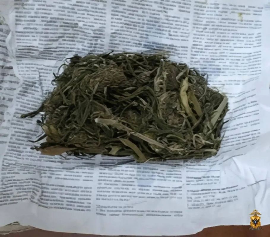 Жителя Нижнесерогозского района обвиняют в незаконном сбыте наркотиков