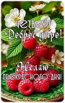 Доброе утро, округ!. Сегодня четверг, 9 июля