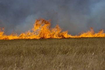 В семи округах Херсонской области чрезвычайная пожароопасность