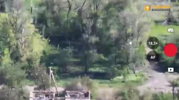 Военнослужащие ВС РФ провели операцию по "залистованию" вражеских позиций в Запорожской области