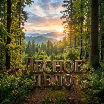 Лесное дело: стань хранителем природных богатств и создавай зелёное будущее!
