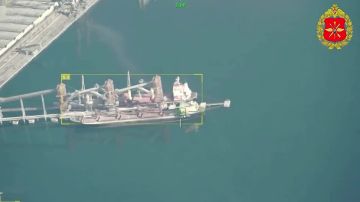 Минобороны показало кадры ударов ВС РФ по объектам в порту Черноморск Одесской области