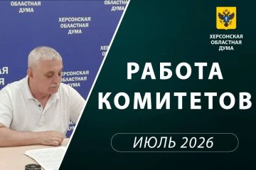 Комитет облдумы поддержал федеральные инициативы по социальной политике и защите семьи