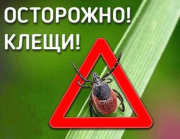 �������� �� �������� ��������� � ���������� ������� � ���� ������������