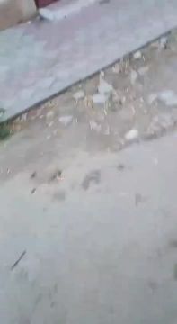 � ������� ��� ����� ���������� �������� ����� �� ��������� ���������, ������� �������� ������