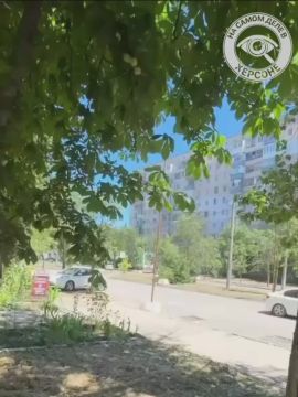 Мужчина спас голубя, который попал в ловушку из сети в Херсоне