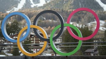 Впервые с 2023 года: МОК восстановил профиль Олимпийского комитета России